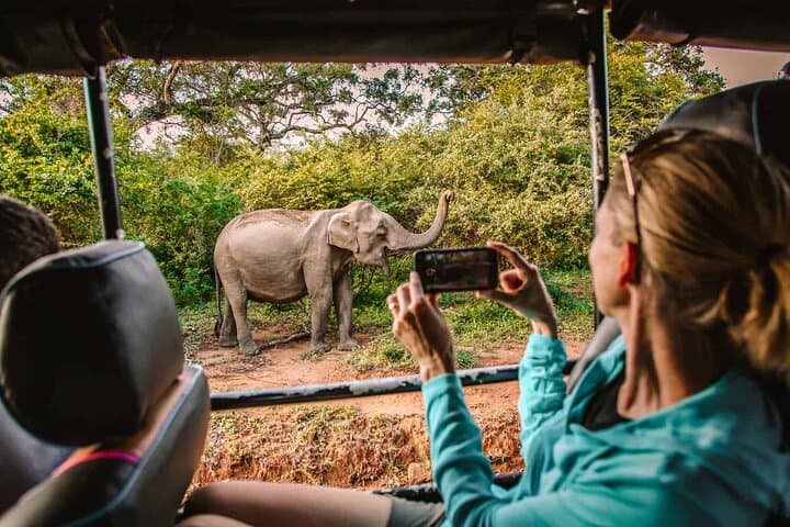 Sigiriya, Dambulla & Elephant Safari: Day Tour from Kandy