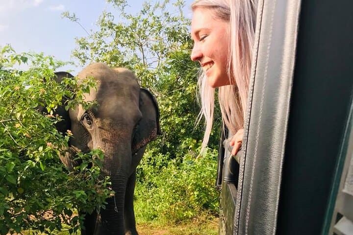 Sigiriya, Dambulla & Elephant Safari: Day Tour from Kandy photo 2