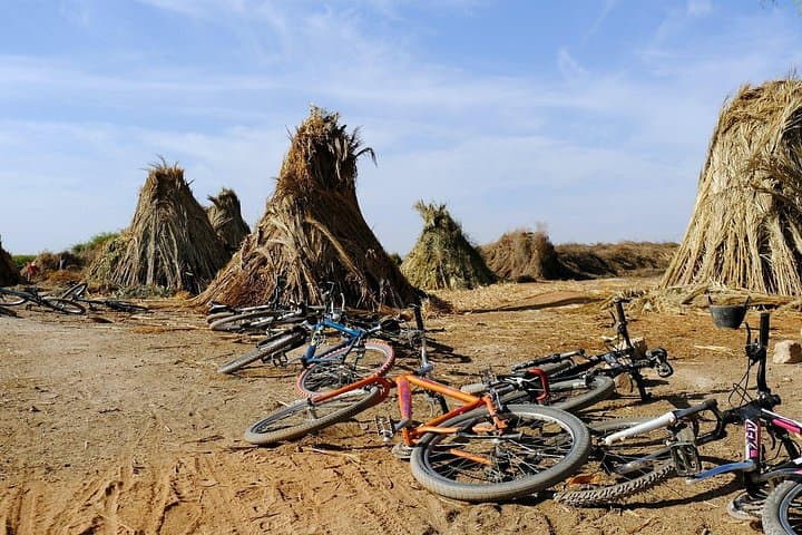 Palmgrove Bike Tour in Marrakech’s Palmeraie: Trails, Camels & Tea photo 2