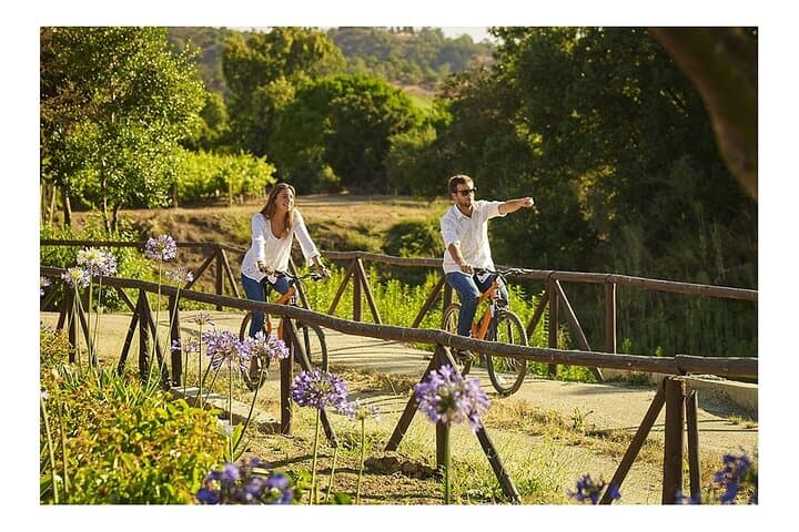 Casas del Bosque Casablanca Wine Tour — Bike Ride, Tasting & Tanino Lunch
