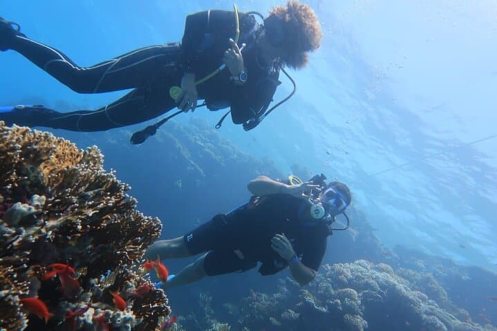 Basic Scuba Diver Course in Sicily — 3-Day Open Water Training photo 5