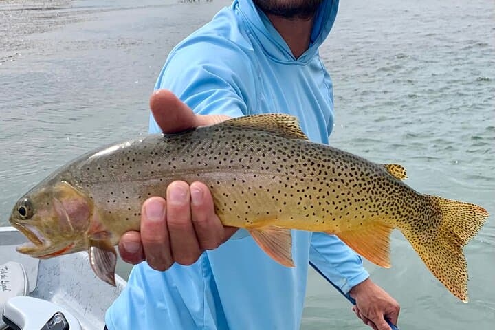 Full-Day Private Fishing Float from Jackson Hole — Snake, Green & Salt Rivers photo 3