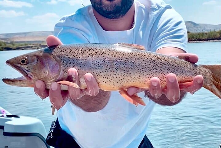 Full-Day Private Fishing Float from Jackson Hole — Snake, Green & Salt Rivers photo 4