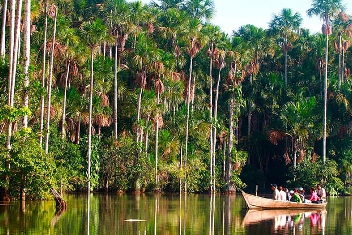 Lake Sandoval Full‑Day Wildlife Canoe Tour from Puerto Maldonado photo 1