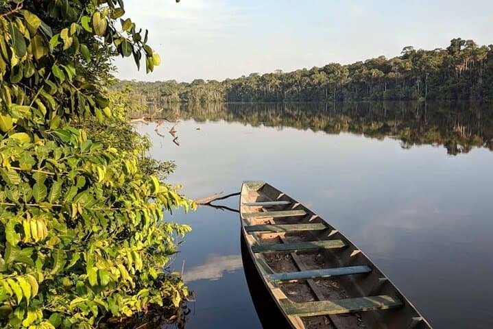 Lake Sandoval Full‑Day Wildlife Canoe Tour from Puerto Maldonado photo 3