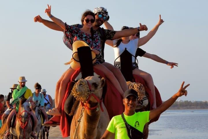 Djerba Camel and Horse Lagoon Ride — 2.5-Hour Berber Tracks Adventure photo 3