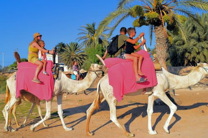 Djerba Camel and Horse Lagoon Ride — 2.5-Hour Berber Tracks Adventure photo 4
