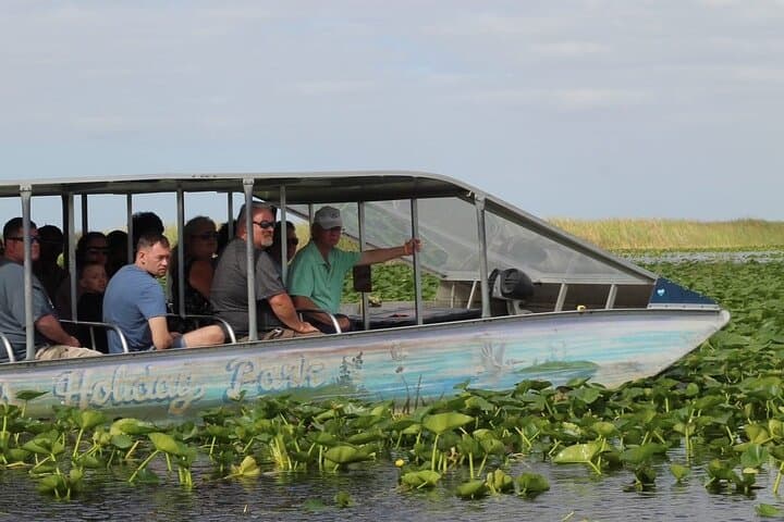 Everglades Small-Group Airboat Tour from Miami — 4–5 Hour Wildlife Experience