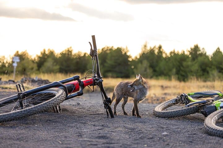 Sunset E-Bike Ride on Mount Etna: Lava Flows, Cave & 360° Views photo 4