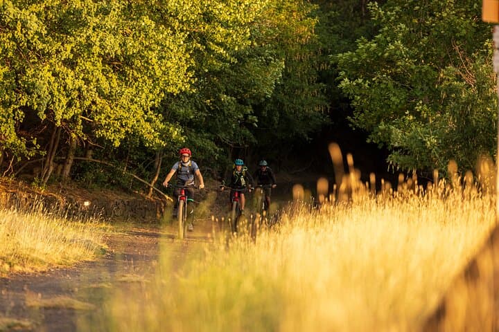 Sunset E-Bike Ride on Mount Etna: Lava Flows, Cave & 360° Views photo 5