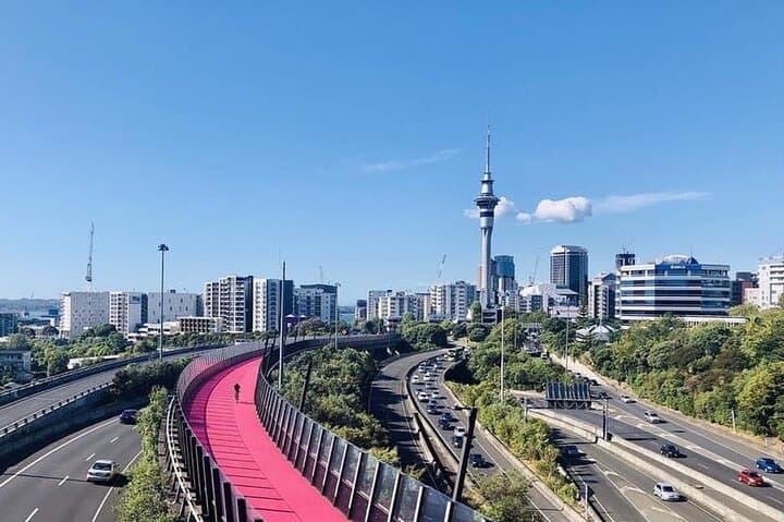 Private Cruise Transfer from Auckland Cruise Terminals to CBD Hotels photo 3