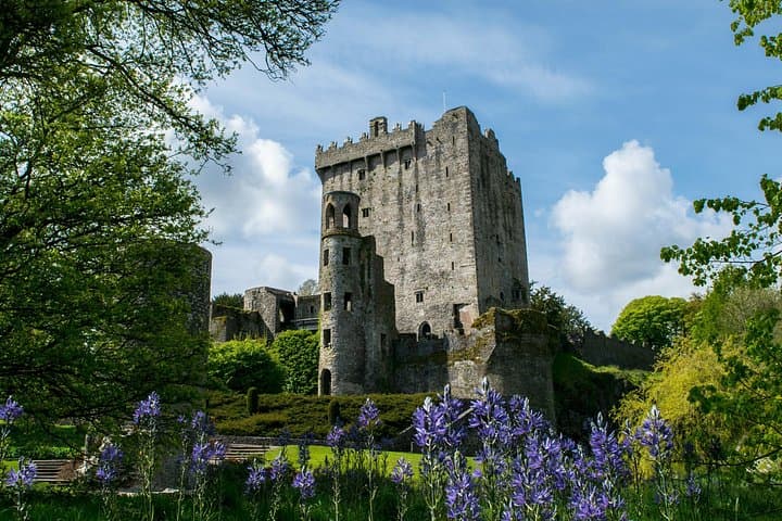 Drive, Kiss, and Taste: Private Blarney & Cork Day Tour from Dublin