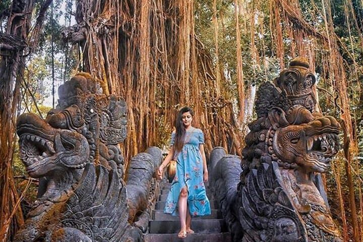 Best of Ubud Day Tour: Monkey Forest, Tegalalang Rice Terraces & Waterfall photo 3