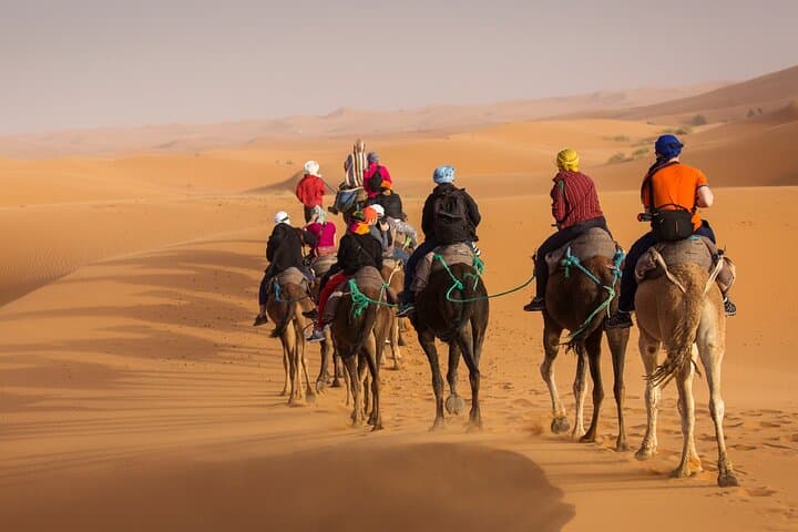Red Dune Desert Safari: Camel Ride, Dune Bashing & BBQ in Dubai photo 2