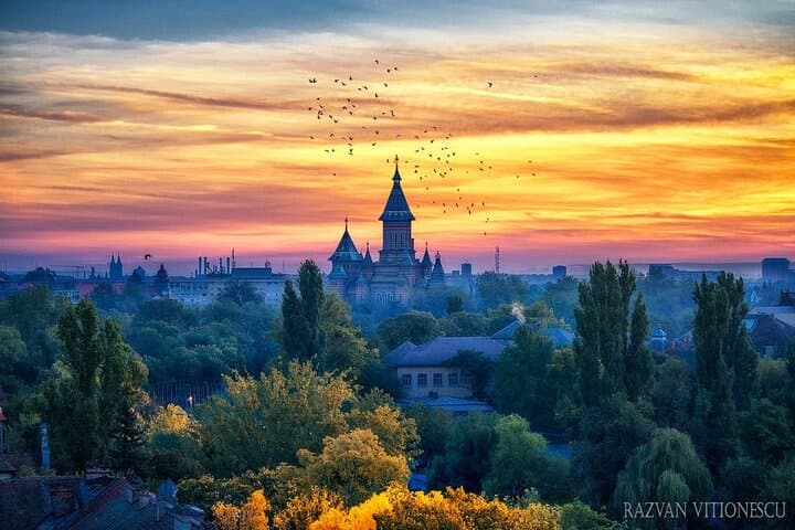 Discover Timisoara by Bicycle: Historic Squares, Bega River & Padurea Verde Trails