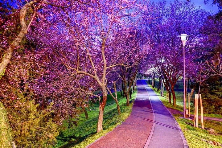 Discover Timisoara by Bicycle: Historic Squares, Bega River & Padurea Verde Trails photo 2