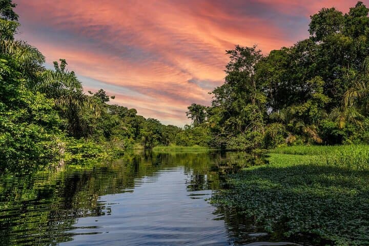 Tortuguero Canals & Turtle Nesting: 1 Night, 2 Day All-Inclusive Nature Escape photo 6