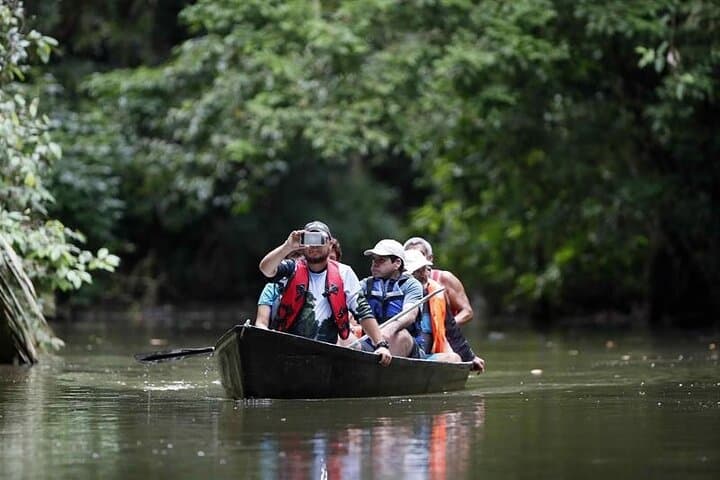 Tortuguero Canals & Turtle Nesting: 1 Night, 2 Day All-Inclusive Nature Escape photo 4