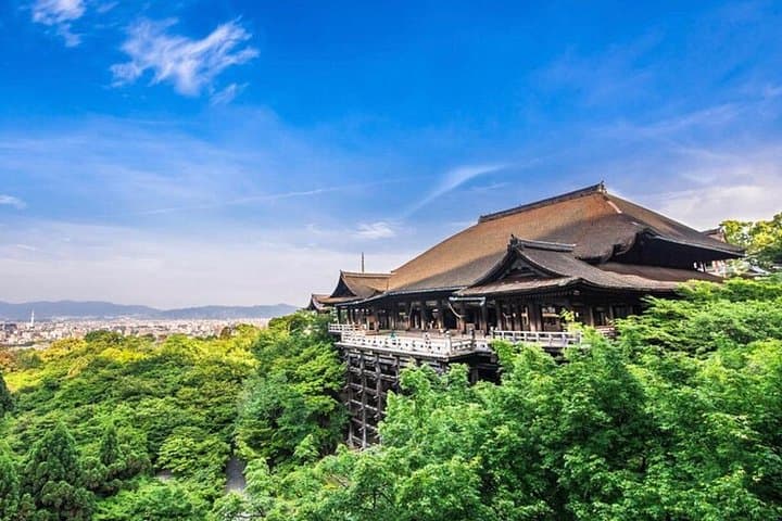 Private Full-Day Car Tour: Kyoto, Osaka & Nara Highlights with English-Speaking Driver photo 2