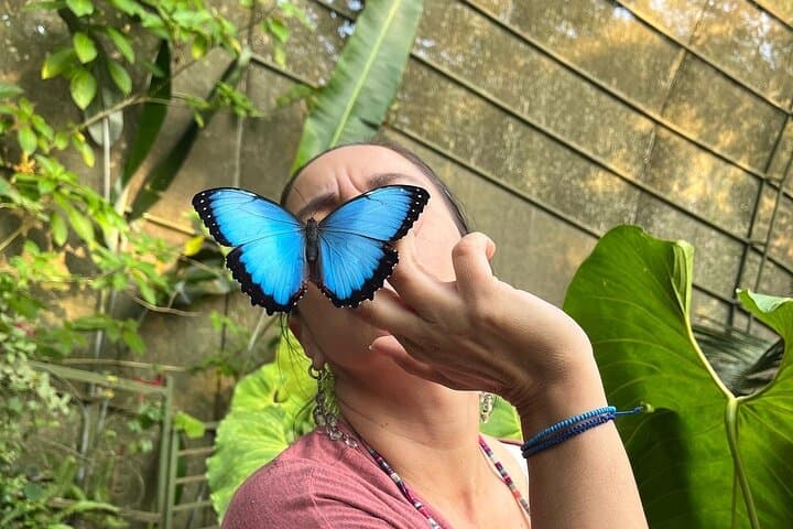 Andoke Butterfly Center Cali: Guided Visit & Symbolic Release Near Cristo Rey