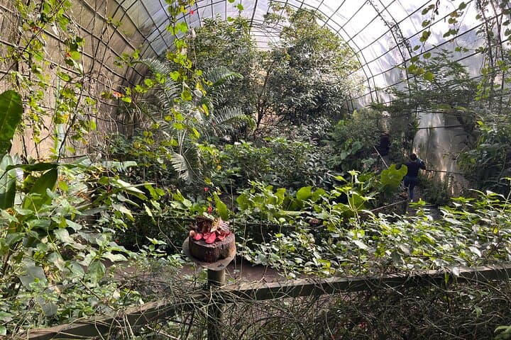 Andoke Butterfly Center Cali: Guided Visit & Symbolic Release Near Cristo Rey photo 6