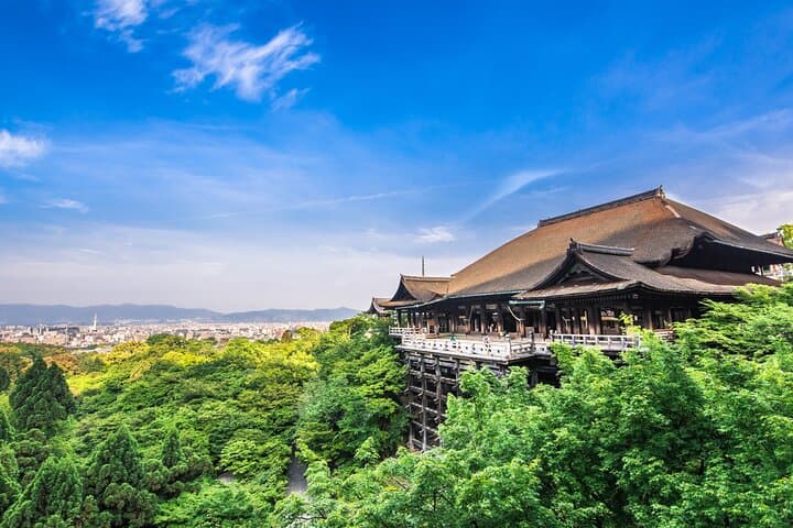 Private Kyoto Day Trip from Osaka: 8-Hour English-Speaking Driver (No Guide)