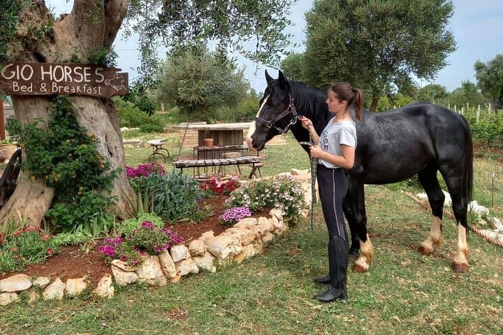 Horseback Riding in Gargano National Park: 1-Hour Guided Trail with Tremiti Views photo 2