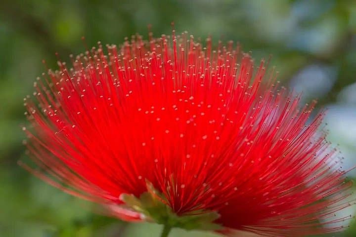 Half-Day Private Botanical Garden Tour Near Chania — Explore Crete’s Rewilded Park photo 2