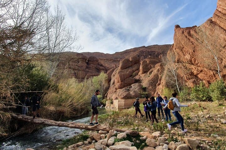Dades Gorge & Monkey Finger Canyon Hike: Guided 7–10 km Cultural Trek from Boumalne Dades photo 4