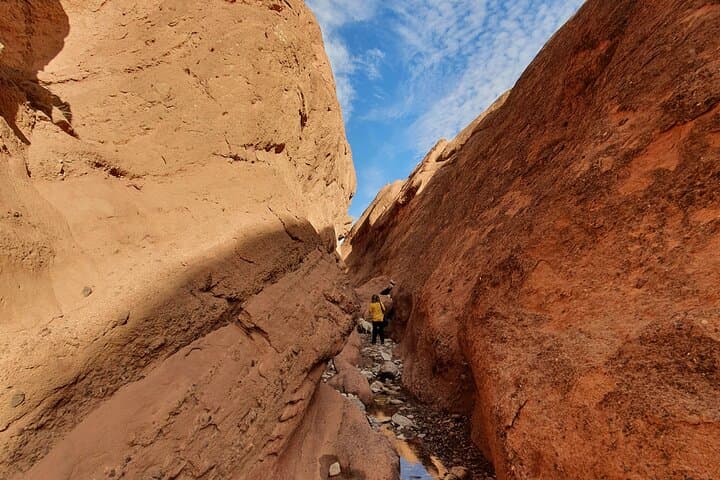 Dades Gorge & Monkey Finger Canyon Hike: Guided 7–10 km Cultural Trek from Boumalne Dades photo 6