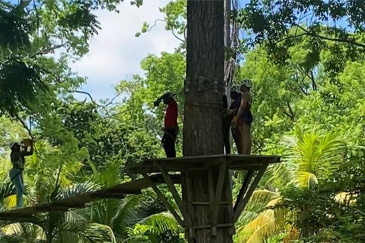Dunn's River Falls: River Climbing and Horseback Riding in Ocho Rios photo 4