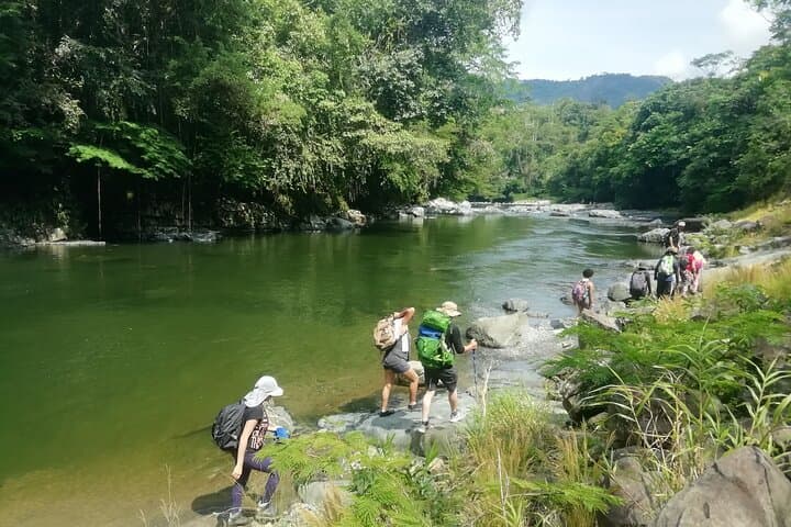 Private Tropical Forest Hike Near Medellín: Cocorná Waterfalls & Santo Domingo Canyon
