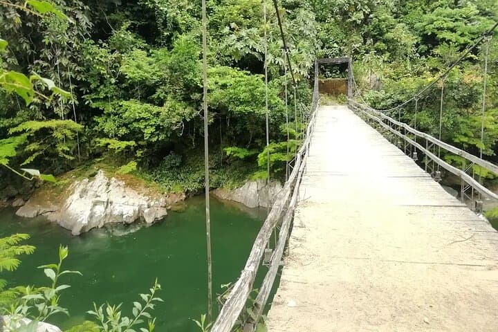 Private Tropical Forest Hike Near Medellín: Cocorná Waterfalls & Santo Domingo Canyon photo 5