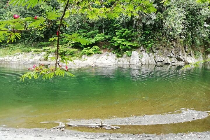 Private Tropical Forest Hike Near Medellín: Cocorná Waterfalls & Santo Domingo Canyon photo 3