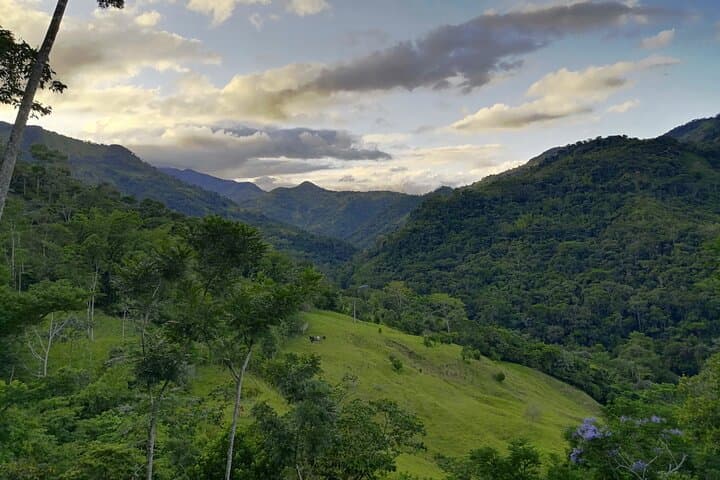 Private Tropical Forest Hike Near Medellín: Cocorná Waterfalls & Santo Domingo Canyon photo 6