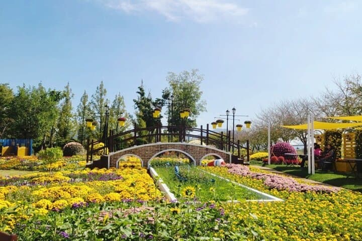 Boseong Tea Plantation & Suncheon Bay: One-Day Green Tea and Wetland Tour photo 5