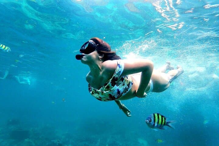 Phi Phi, Maya & Bamboo Islands: Full-Day Speedboat from Phuket photo 2