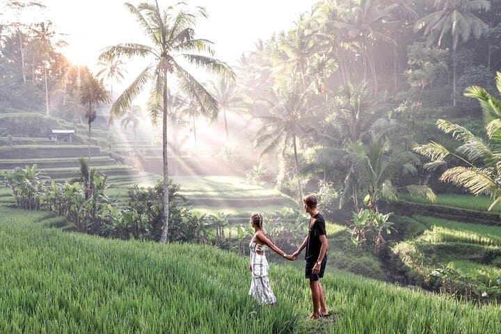 Private Ubud Day Tour: Temples, Rice Terraces & Monkey Forest photo 6