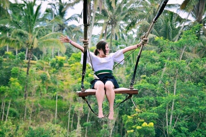 Private Ubud Day Tour: Temples, Rice Terraces & Monkey Forest