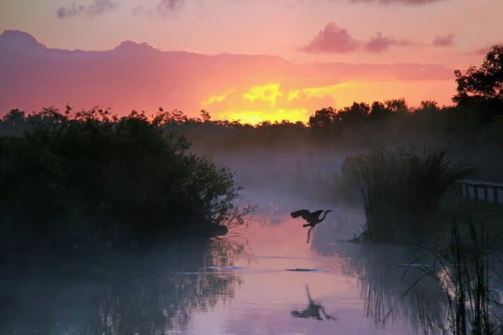 Everglades Self-Guided Driving Audio Tour — 48-Mile River of Grass Route photo 5