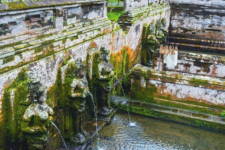 Swing & Swim at D’Tukad Blangsinga — Ubud Waterfall, Goa Gajah & Batuan Temple Day Tour photo 3