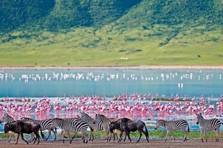 2-Day Hell's Gate, Crescent Island & Lake Nakuru Private Safari from Nairobi