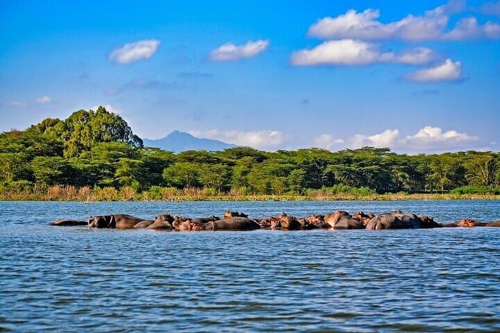 2-Day Hell's Gate, Crescent Island & Lake Nakuru Private Safari from Nairobi photo 5