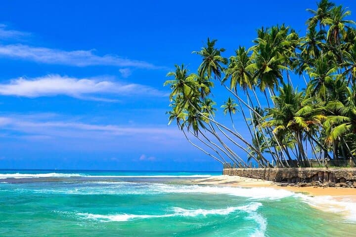 Galle Fort Day Trip & Madu River Boat Safari from Colombo photo 4