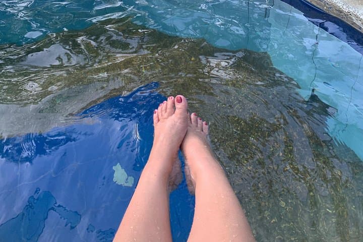 Mt Makiling Hot Springs and Tagaytay Taal View Day Tour from Manila photo 3