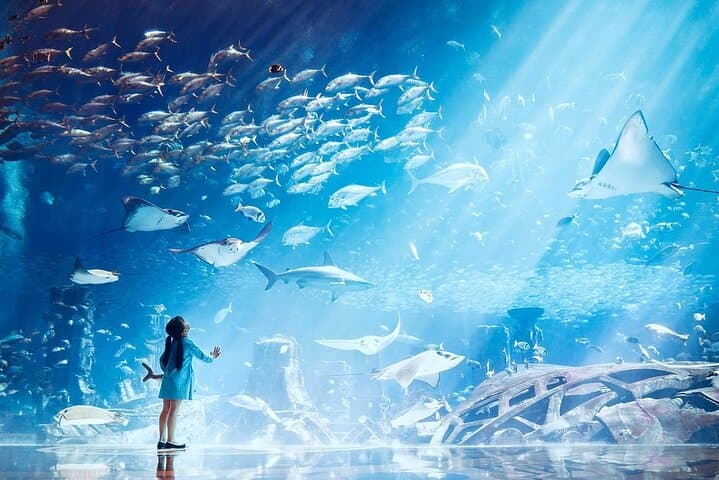 Explore The Lost Chambers Aquarium at Atlantis The Palm: Dubai's Underwater Maze