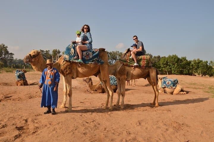 Camel Ride in Agadir: Beach & Souss River Eucalyptus Tour with Hotel Transfer photo 3