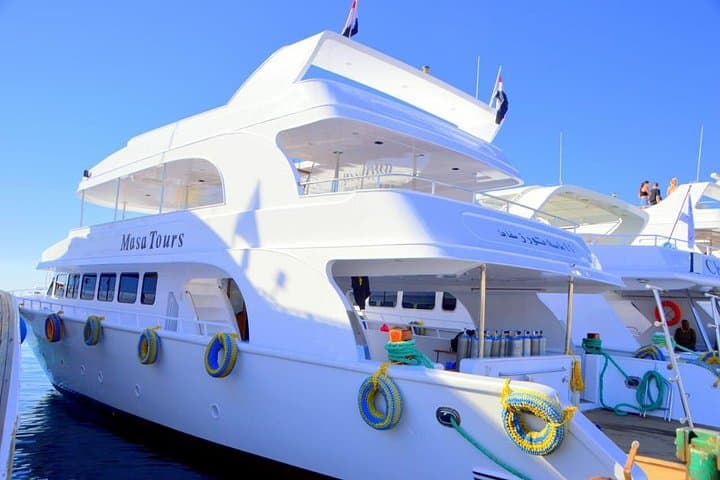 Ras Mohamed & White Island Snorkel and Dive Day Trip from Sharm El Sheikh photo 2