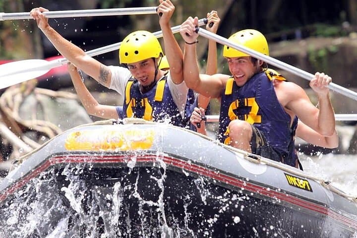 Half-Day Ayung River White Water Rafting with Lunch (Ubud)
