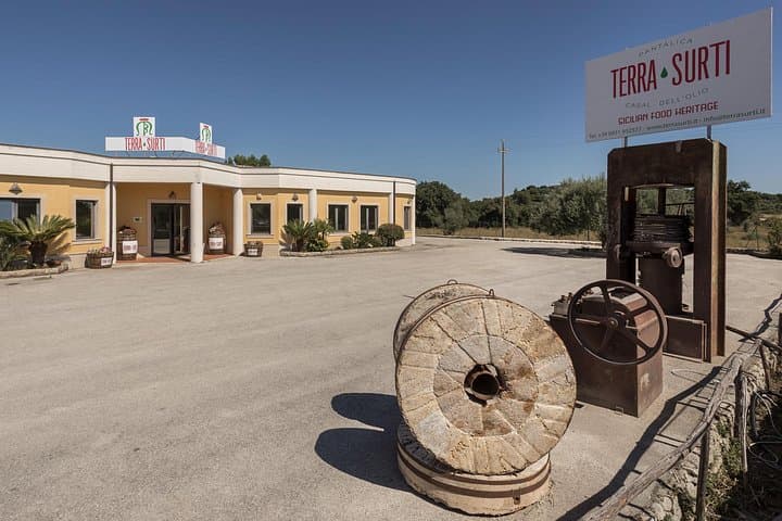 Olive Grove Walk, Oil Tasting & Farm Lunch near Pantalica, Sicily photo 4